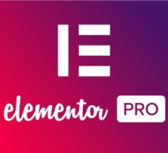 Professional Websites with Elementor Pro